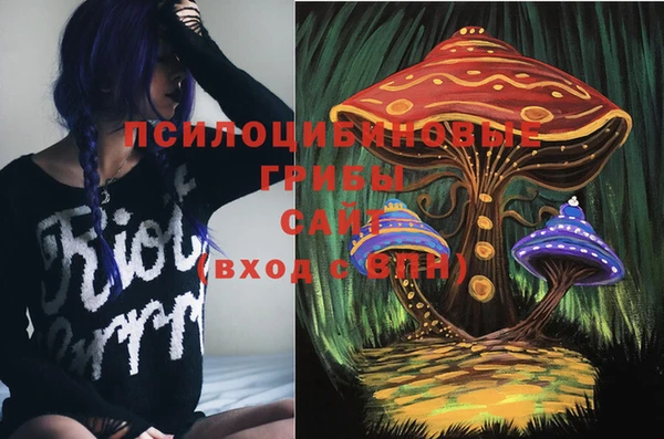 амф Вязники