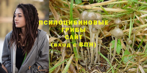 амф Вязники