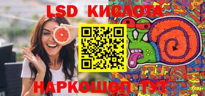 мдпв Бийск