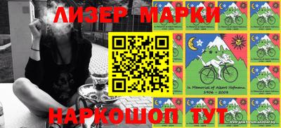 мдпв Бийск