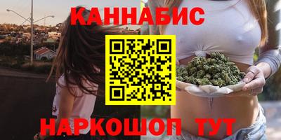 мдпв Бийск