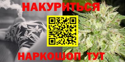 мдпв Бийск
