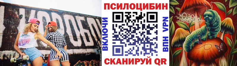 дарнет шоп Елец Псилоцибиновые грибы GOLDEN TEACHER