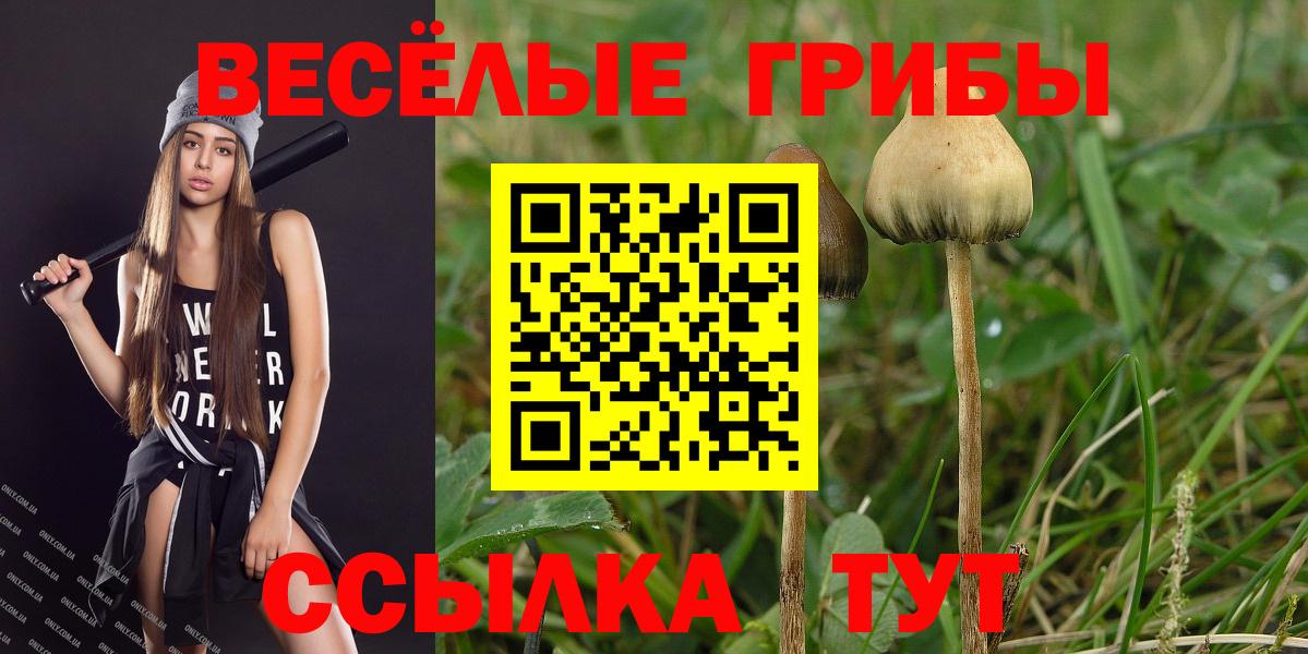 Галлюциногенные грибы Psilocybe  Галлюциногенные грибы Psilocybine cubensis  Вход с VPN  Елец 