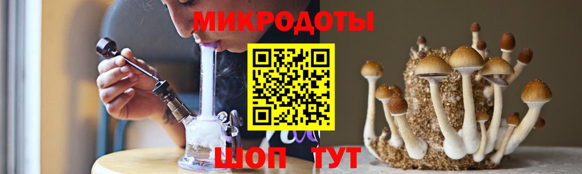 Псилоцибиновые грибы ЛСД Елец